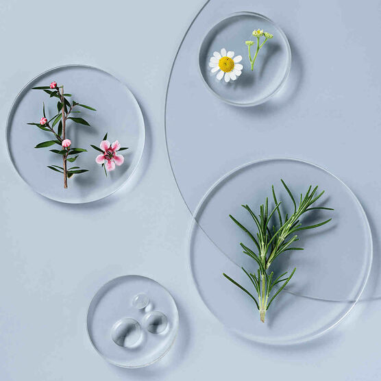 &Oacute;leo Capilar Briogeo Scalp Revival Rosemary Pre-Wash